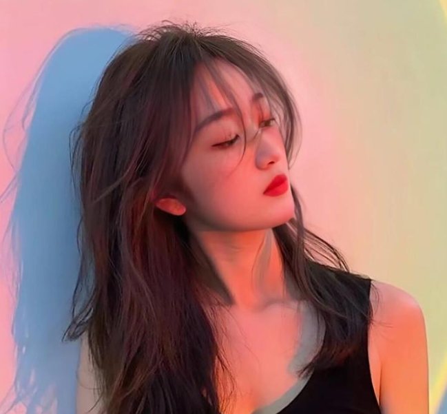 狐狸女士第二季