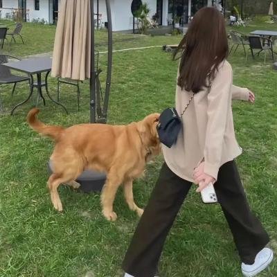 宝贝反斗星第三集